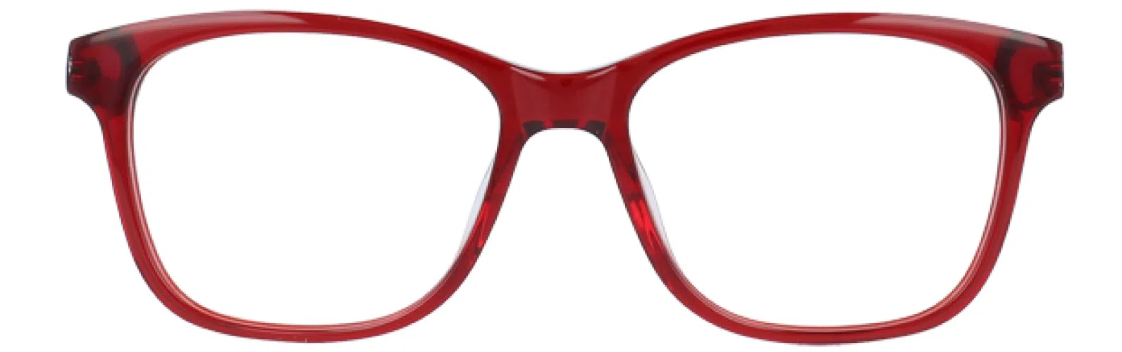 MaxStudio.com MS164Z Eyeglasses - Cream Tort - view 7