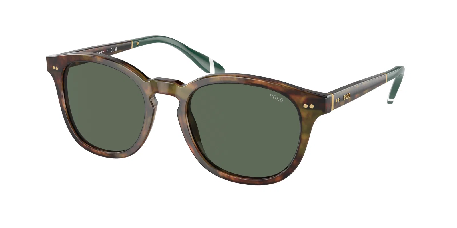 Polo 4206 Sunglasses