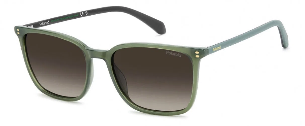 Polaroid Core PLD4207 Sunglasses