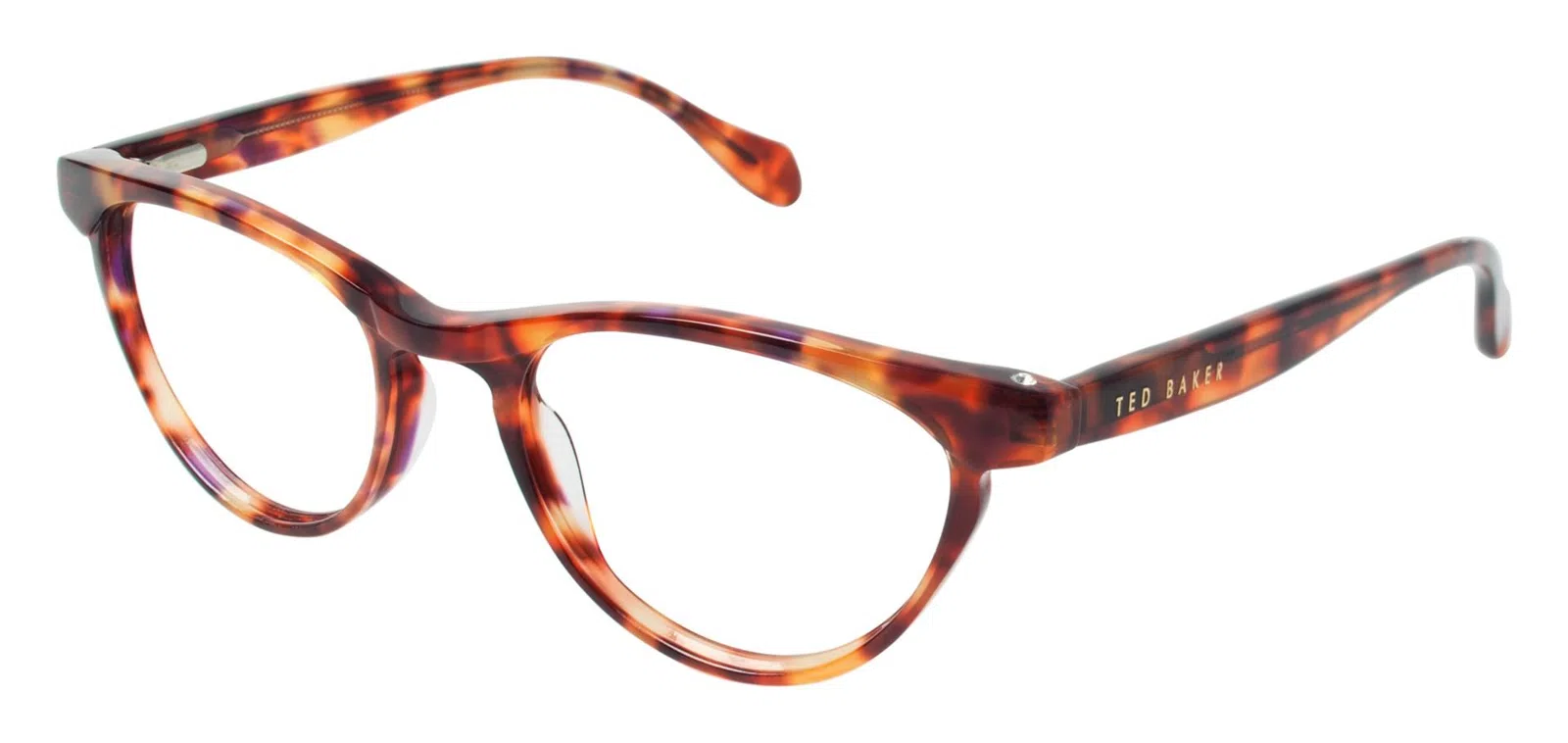 Ted Baker B713 Eyeglasses