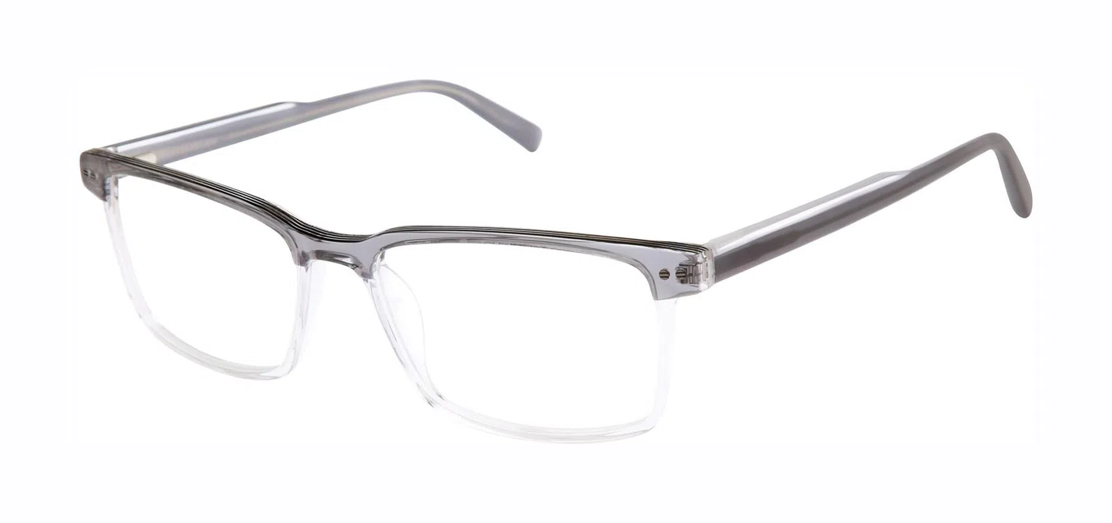 Ted Baker TXL012 Eyeglasses