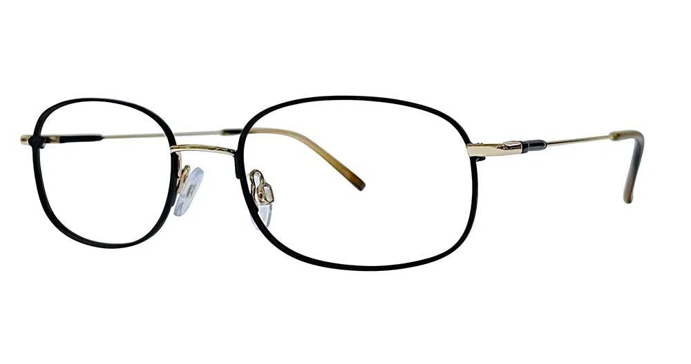 Stetson Stainless SSS602 Eyeglasses - Noir/gold