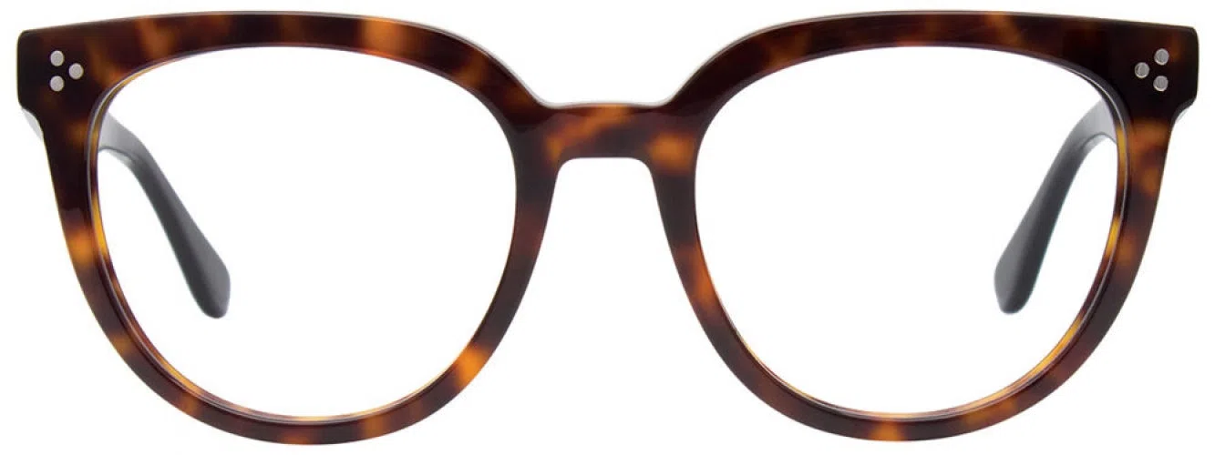 Paradox P5090 Eyeglasses - view 4