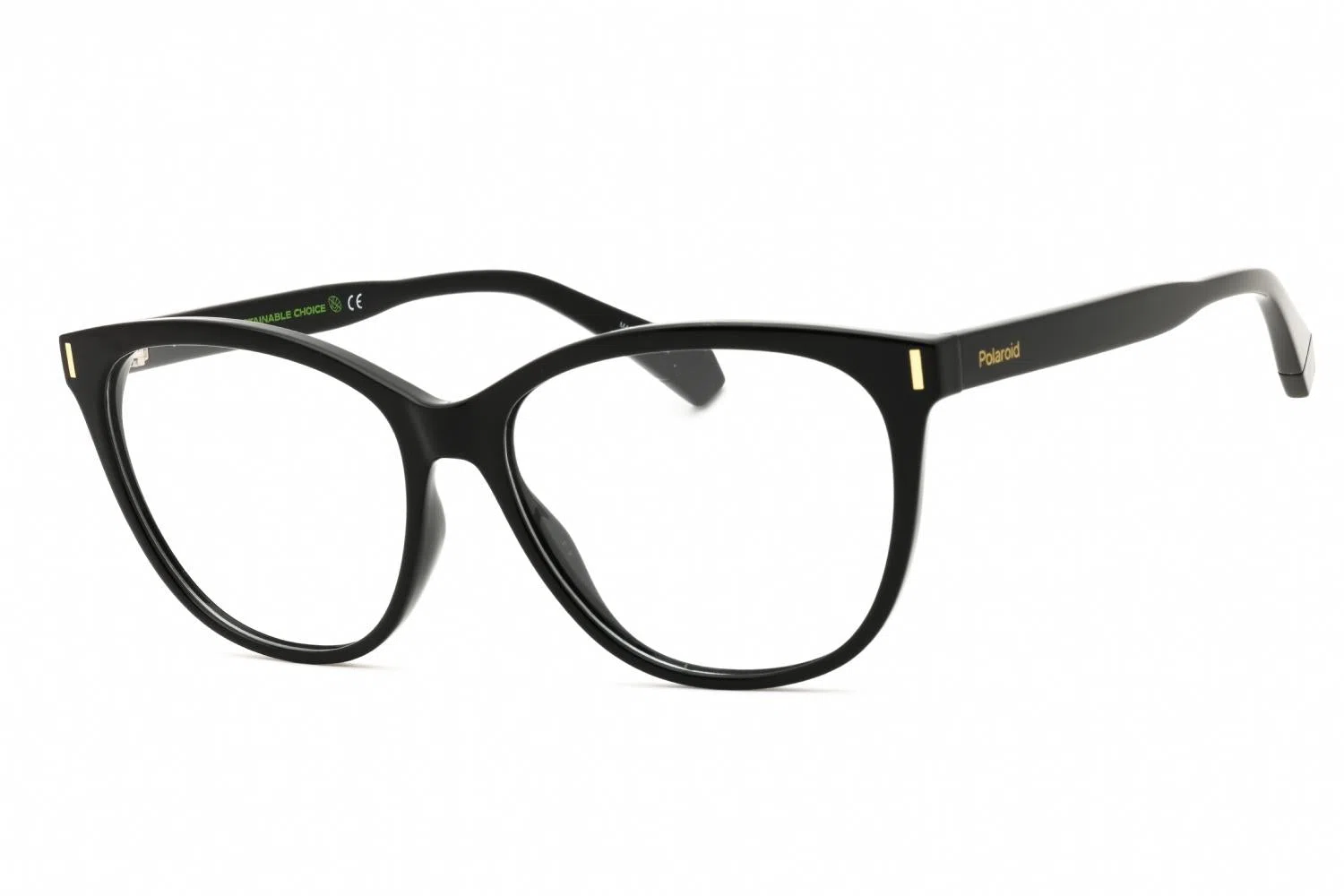 Polaroid Core PLDD463 Eyeglasses - BLACK