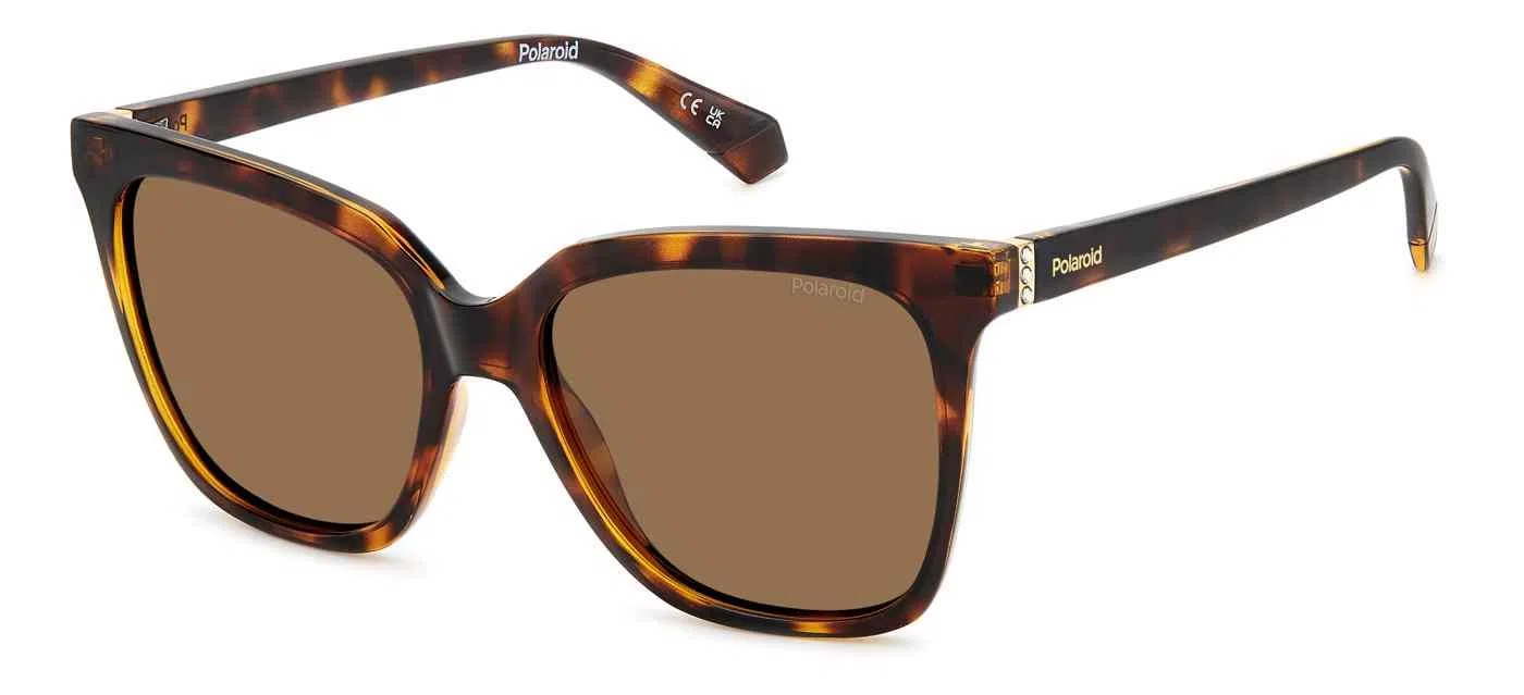 Polaroid Core PLD4155 Sunglasses