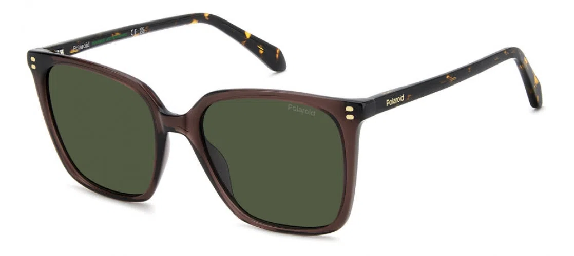 Polaroid Core PLD4201 Sunglasses