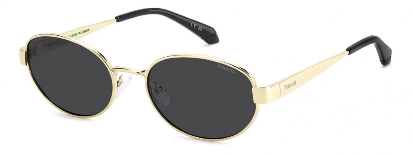 Polaroid Core PLD6254 Sunglasses