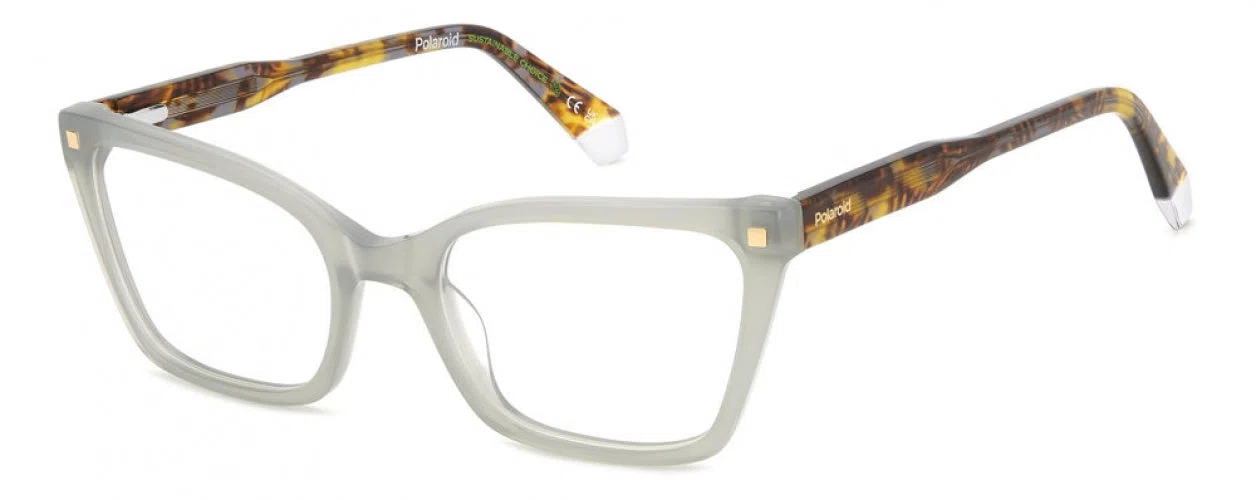 Polaroid Core PLDD520 Eyeglasses