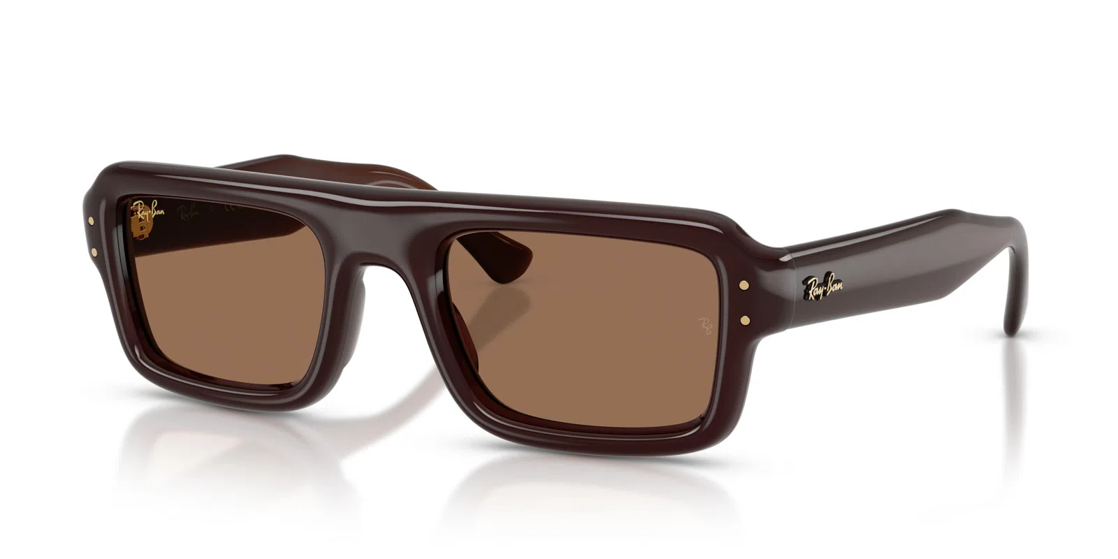 Ray-Ban 4954 Sunglasses