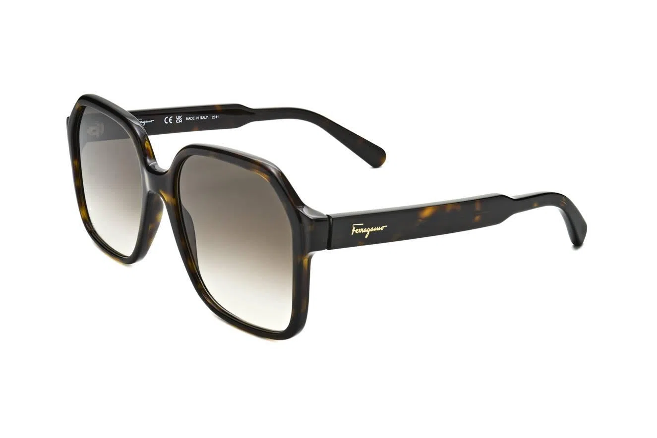 Ferragamo SF1069S Sunglasses