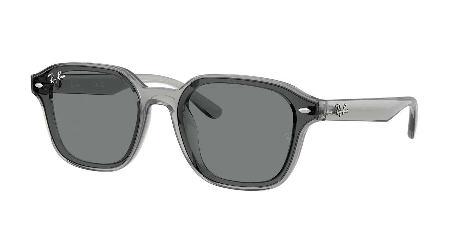 Ray-Ban 4458D Sunglasses