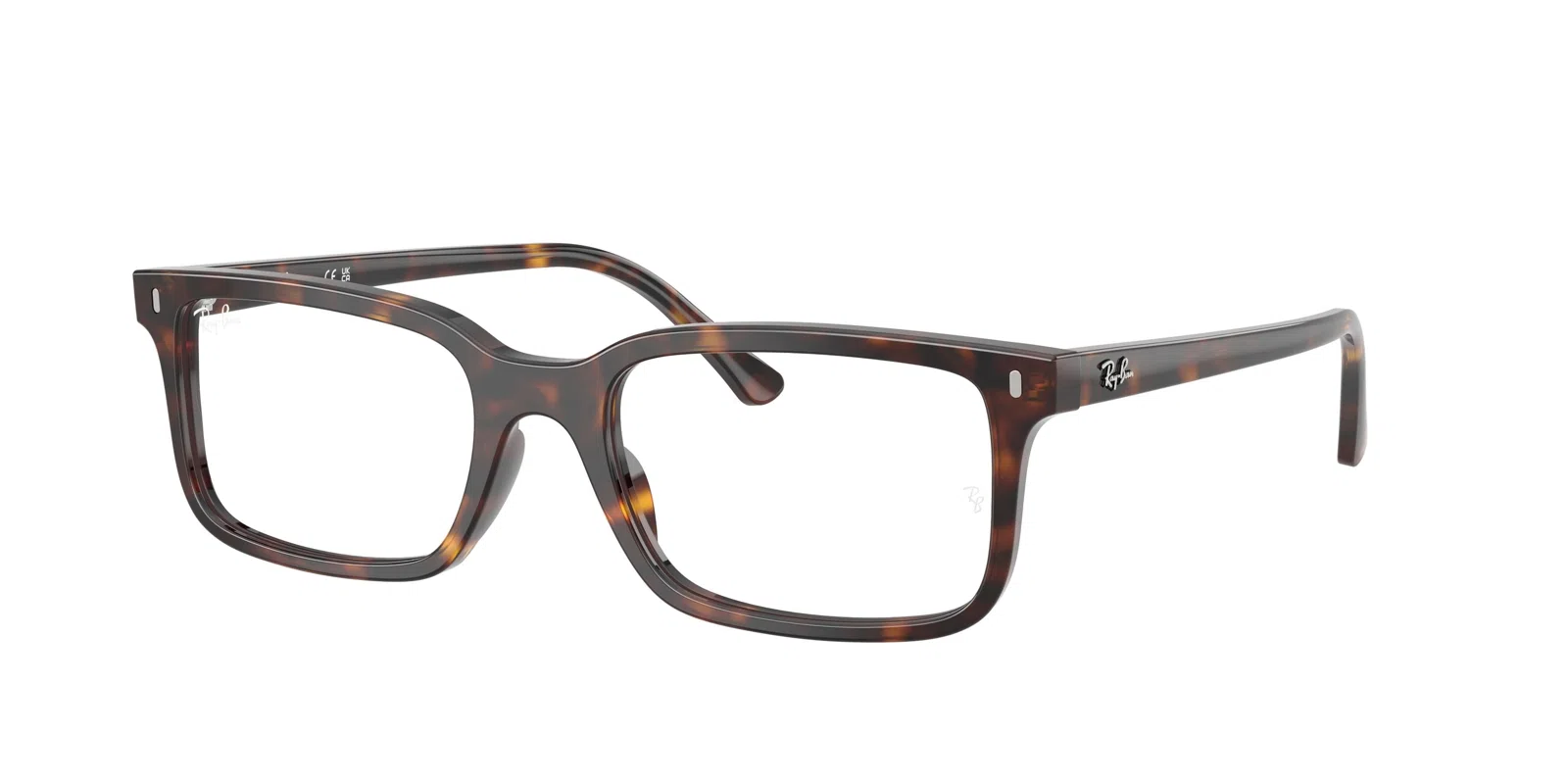 Ray-Ban 5445F Eyeglasses