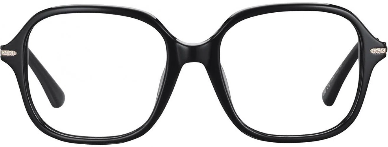 Serengeti SV592003 Eyeglasses - view 3