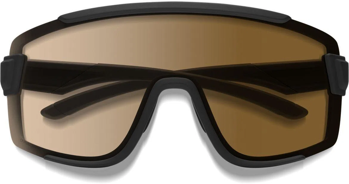 Smith Optics Sport u0026 Performance 201516 Wildcat Sunglasses - view 35