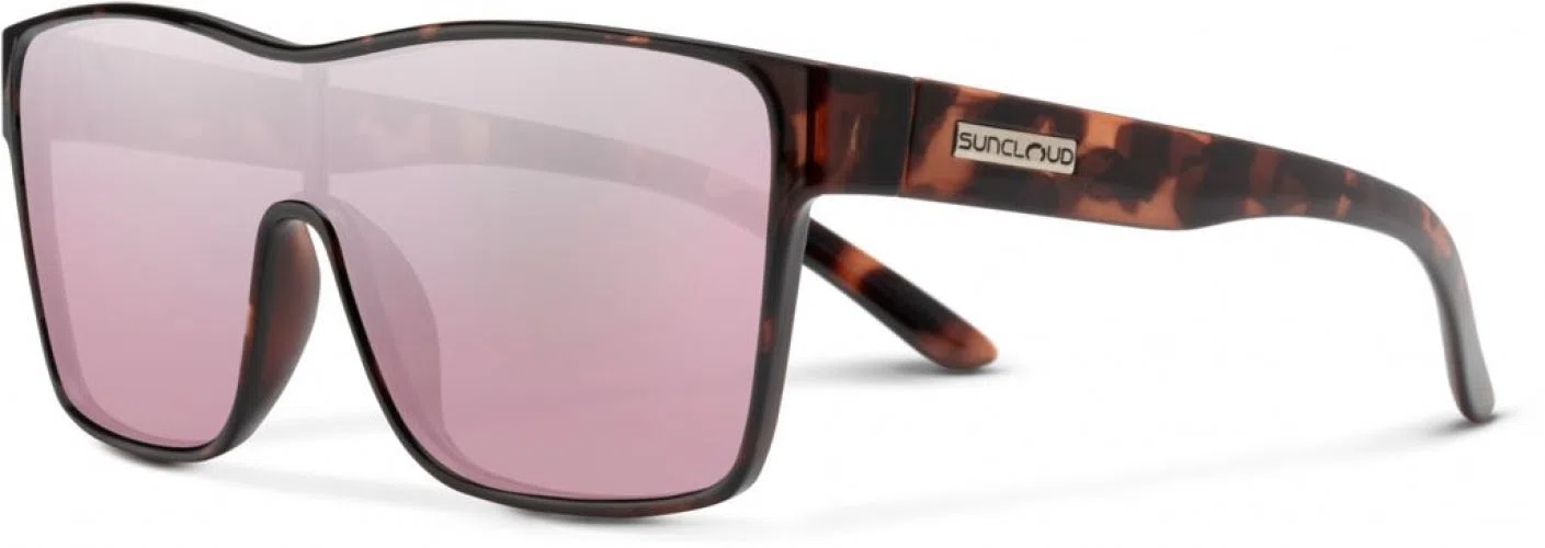 207176 Biff Sunglasses - view 5