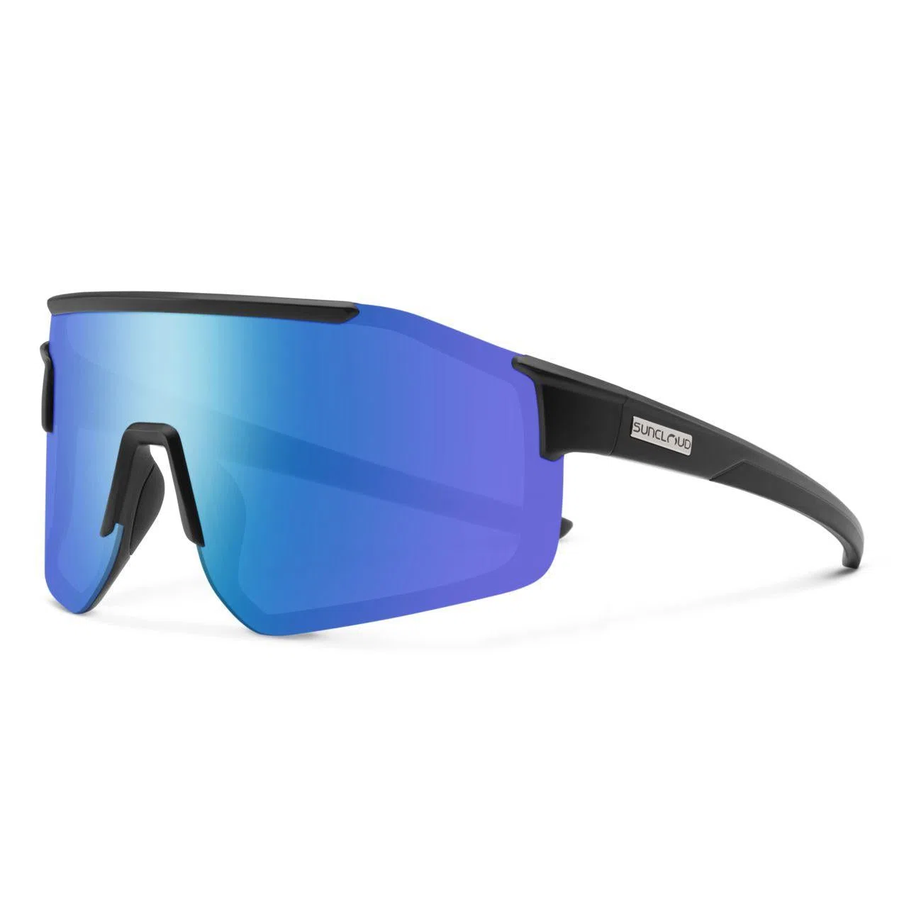 208105 Domain Sunglasses