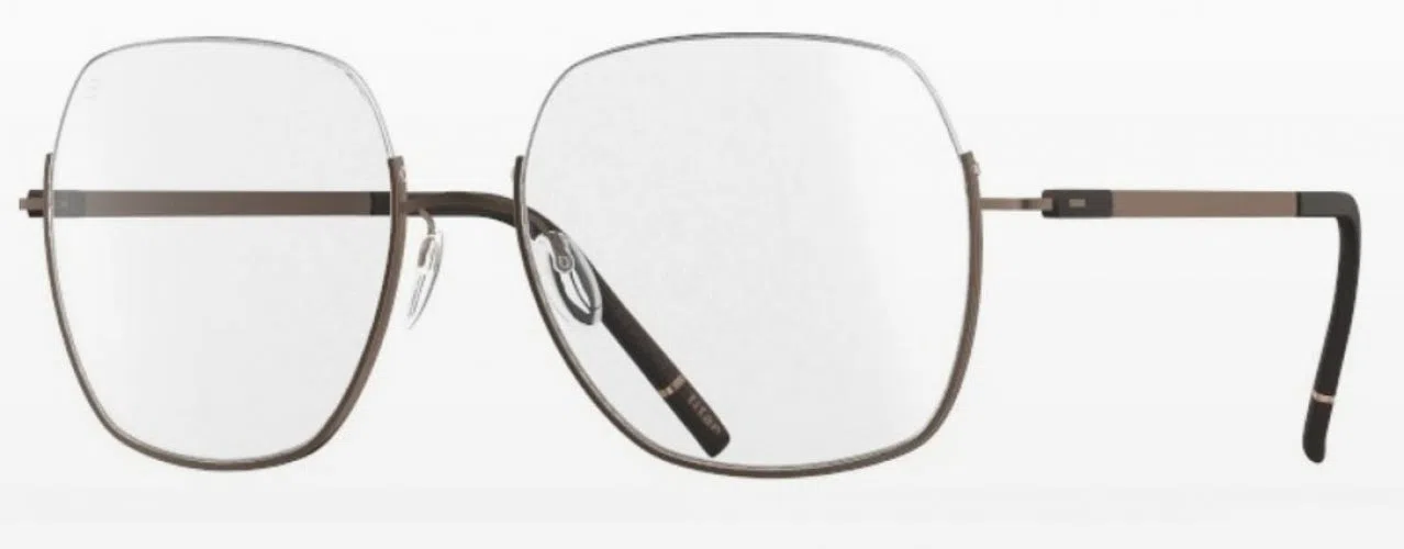 Silhouette Dynamic Dawn Nylor 4566 Eyeglasses