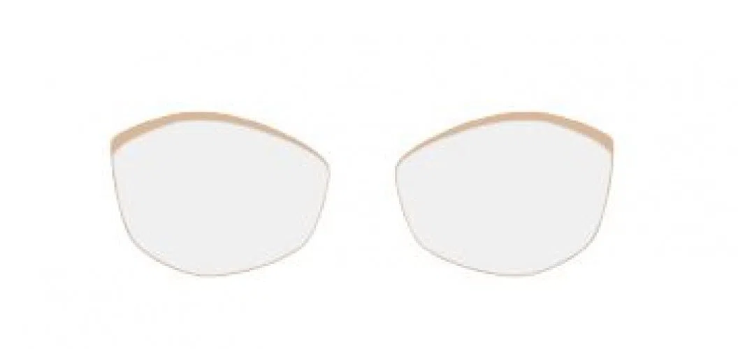 Silhouette Accent Ring FW 5097FW Eyeglasses