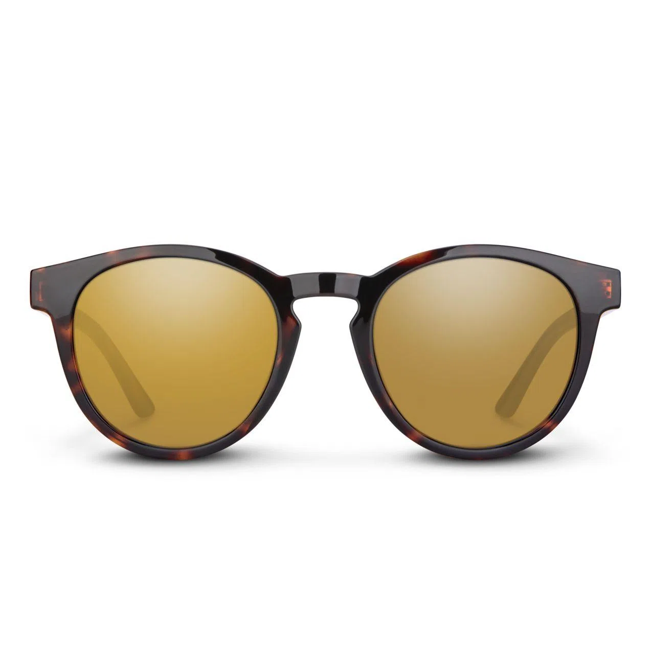 209286 Barnes Sunglasses - view 5