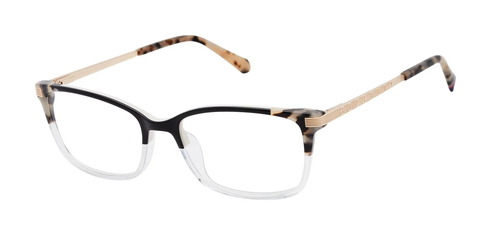 Superdry SDOW030T Eyeglasses - view 3