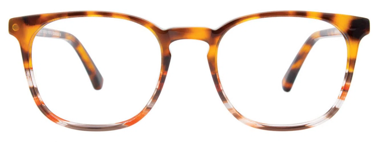 Takumi TK1180 Eyeglasses - view 9